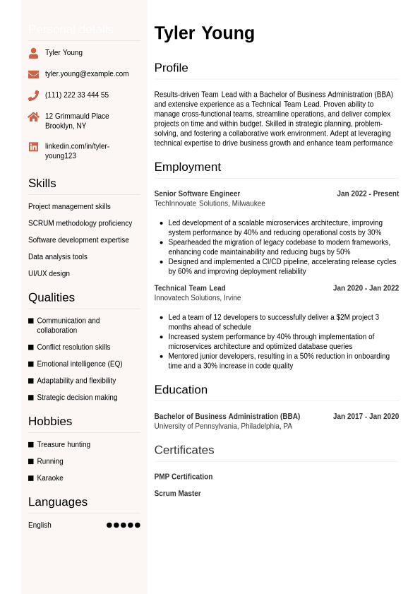 McKinsey Resume Example Jobseeker - Team Lead Resume Example