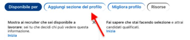 clicca su “Aggiungi sezione del profilo”