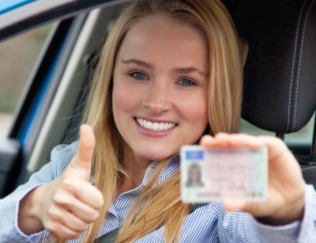 carnet de conducir curriculum