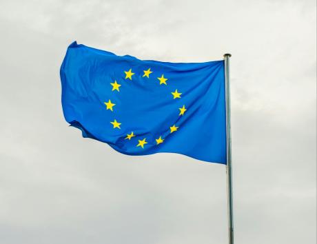 esc motivasyon mektubu örneği