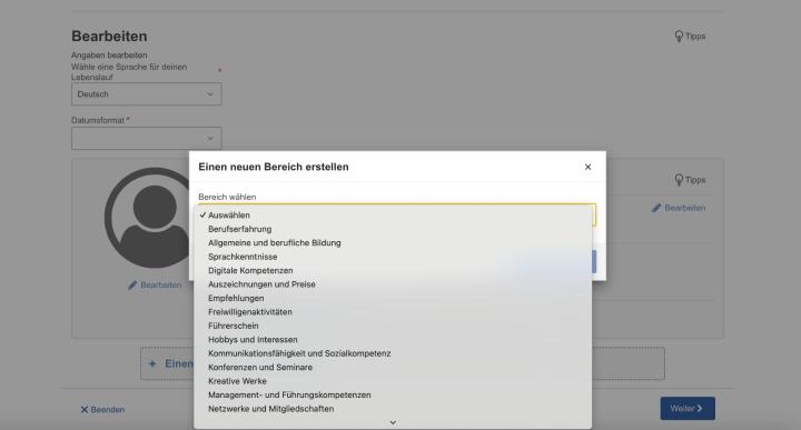 Dazu gehören „Berufserfahrung“, „Allgemeine und berufliche Bildung“, „Sprachkenntnisse“, „Digitale Kompetenzen“ oder auch „Auszeichnungen und Preise“.