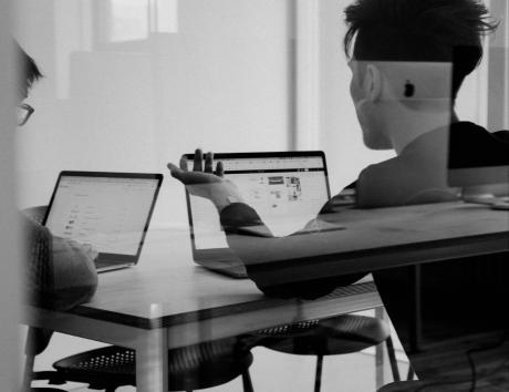 obiectiv profesional