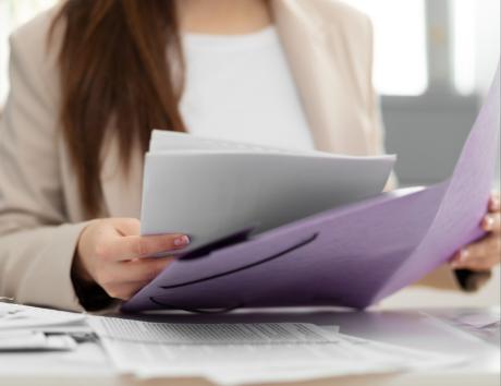 curriculum vitae consigli