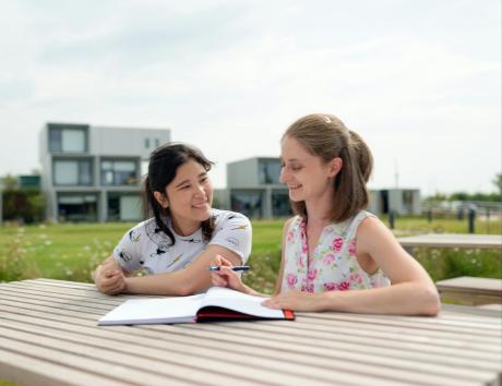 ripetizioni nel curriculum