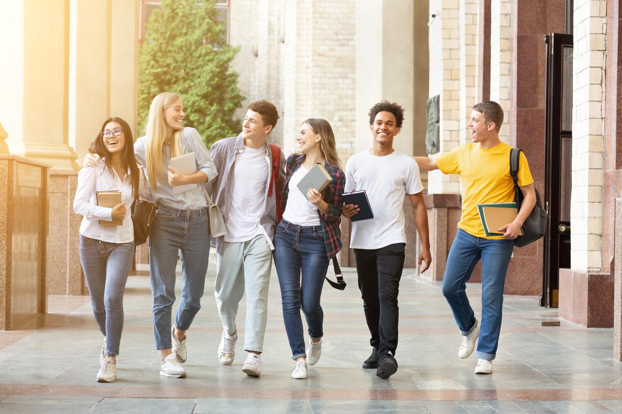 Student CV